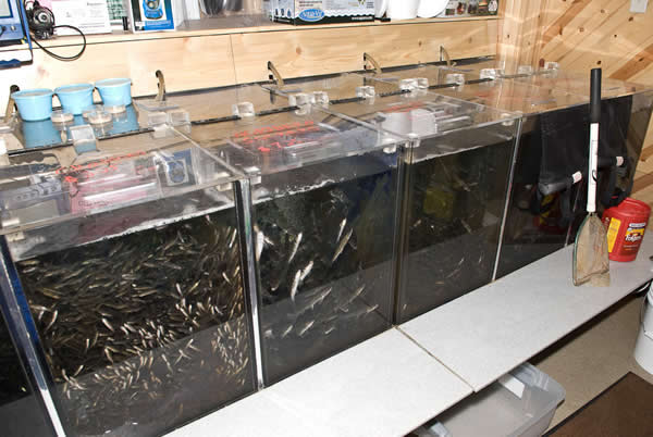 bait store near me